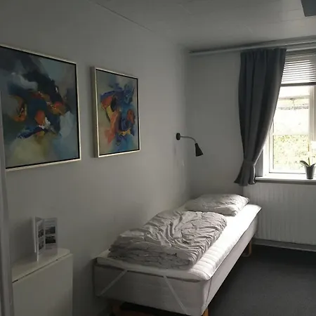 אכסניה Danhostel קולדינג