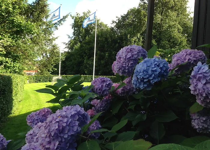 Danhostel بيت شباب *