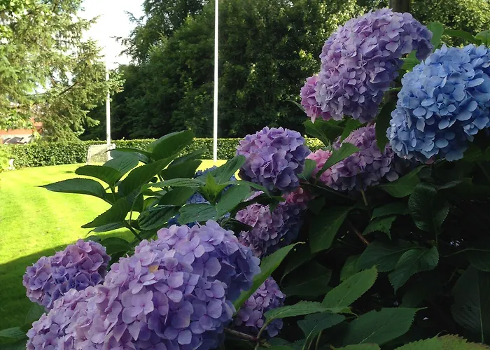 Vandrerhjem Danhostel