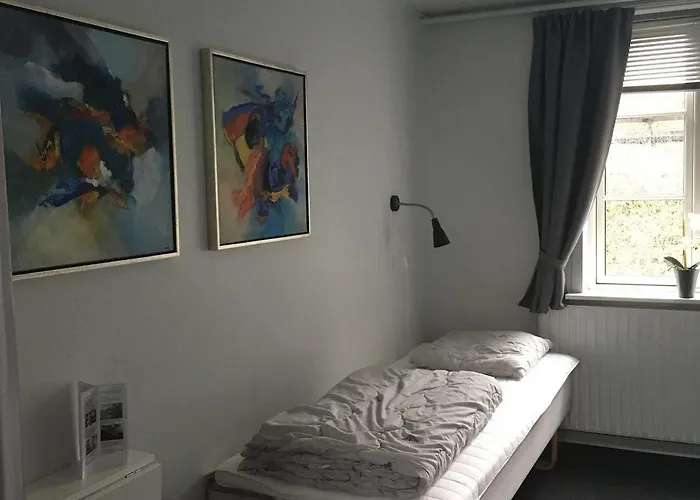 بيت شباب Danhostel كولدينغ